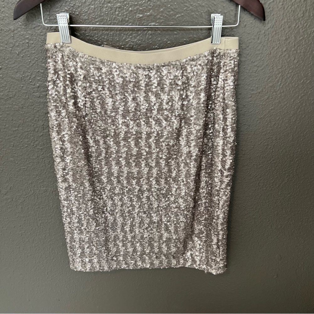 NWT J. Jill Sequins Pencil Sterling Women’s Skirt | Size XS - Picture 5 of 10